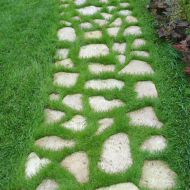 Зеленая дорожка Зеленая дорожка