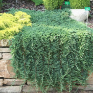 Натуральный камень и зелень - классика ландшафтного оформления! Натуральный камень и зелень - классика ландшафтного оформления!