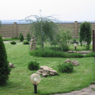 Озеленение приусадебного участка Озеленение приусадебного участка