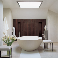 Ванная комната в стиле минимализм, деревянные панели.