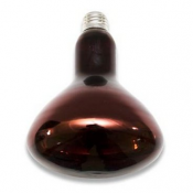 Лампа ИКЗ-250 красная  свыше 100 вт    580  от 500 до 1000 тенге  шт  250  Лампа инфракрасная  Лампы накаливания и энергосберегающие. Лампы светодиодные, галогеновые и люминесцентные Казхимтехснаб ТОО