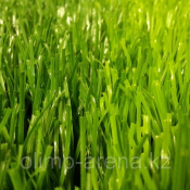 Искусственный газон  Китай  Искусственный газон  Китай  2300  Самовывоз    кв.м  Олимп-Арена ТОО
