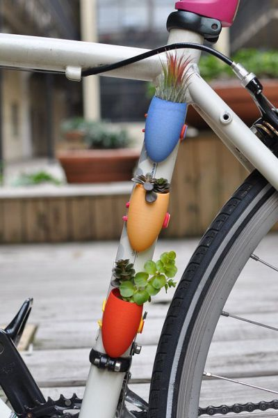 Цветы и велосипед