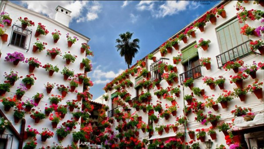 Фасады домов в цветочек:) Кордоба, Испания
