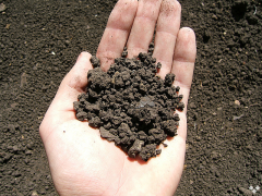 Грунт (почва) - основа для строительства дома