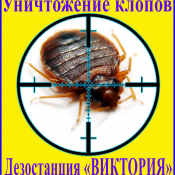 Борьба с клопами в доме, квартире и других помещениях. Алматы и область. Дезостанция «ВИКТОРИЯ» Дезостанция «ВИКТОРИЯ» осуществляет гарантированное качественное уничтожение клопов с применением химических препаратов, обладающих продолжительным остаточным эффектом. Эффективность методик и опыт специалистов обеспечивают полное уничтожение клопов. 500 кв.М дезинфекция,дератизация,дезинсекция цена минимальная Другие услуги \ Борьба с клопами в доме, квартире и других помещениях. Алматы и область. Дезостанция «ВИКТОРИЯ» Дезостанция «ВИКТОРИЯ» осуществляет гарантированное качественное уничтожение клопов с применением химических препаратов, обладающих продолжительным остаточным эффектом. Эффективность методик и опыт специалистов обеспечивают полное уничтожение клопов. 500 кв.М дезинфекция,дератизация,дезинсекция цена минимальная Другие услуги \