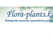 В нашем Интернет-магазин «Flora-Plants» вы можете узнать значение цветов и комнатных растений в искусстве Фэн-шуй, что поможет Вам не только купить комнатный цветок, но и ознакомиться с особенностями ухода за комнатными растениями. Комнатные растения Садовый Интернет-магазины. Товары для сада и огорода «Flora-Plants» платная Садовые магазины растений и инвентаря. Интернет-магазины товаров для сада и огорода Flora-Plants Интернет - магазин В нашем Интернет-магазин «Flora-Plants» вы можете узнать значение цветов и комнатных растений в искусстве Фэн-шуй, что поможет Вам не только купить комнатный цветок, но и ознакомиться с особенностями ухода за комнатными растениями. Комнатные растения Садовый Интернет-магазины. Товары для сада и огорода «Flora-Plants» платная Садовые магазины растений и инвентаря. Интернет-магазины товаров для сада и огорода Flora-Plants Интернет - магазин