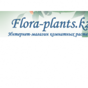 В нашем Интернет-магазин «Flora-Plants» вы можете узнать значение цветов и комнатных растений в искусстве Фэн-шуй, что поможет Вам не только купить комнатный цветок, но и ознакомиться с особенностями ухода за комнатными растениями.  Комнатные растения  Садовый Интернет-магазины. Товары для сада и огорода  «Flora-Plants»  платная  Садовые магазины растений и инвентаря. Интернет-магазины товаров для сада и огорода Flora-Plants Интернет - магазин