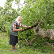 Спилим деревья любой сложности.Компенсационная посадка деревьев. Подготовка разрешительные документов.  Спилим деревья любой сложности. Вывоз пилоотходов. В наличии имеется автовышки, грузчики, выкорчевывание пней, сан обрезка деревьев, кронировка Компенсационная посадка. Подготовка разрешительные документов.  5000  Цена договорная  Спилим деревья любой сложности. Вывоз пилоотходов. В наличии имеется автовышки, грузчики, выкорчевывание и утопление пней, сан обрезка деревьев, кронировка Компенсационная посадка. Подготовка разрешительные документов.  Услуги по обрезке, спиливанию деревьев и корчеванию пней Almaty Stroy City ИП
