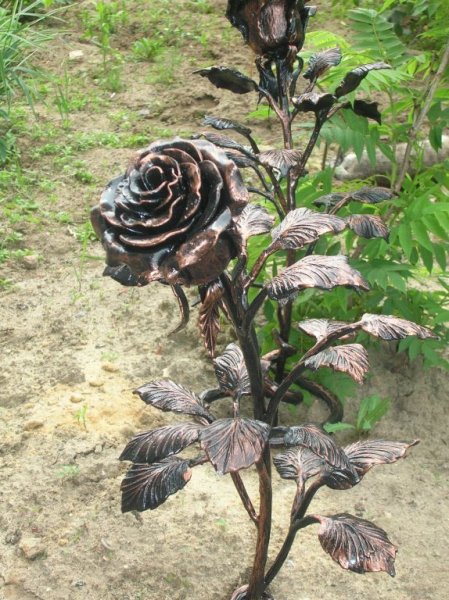 Железные шипы, несгибаемый стебель Железные шипы, несгибаемый стебель