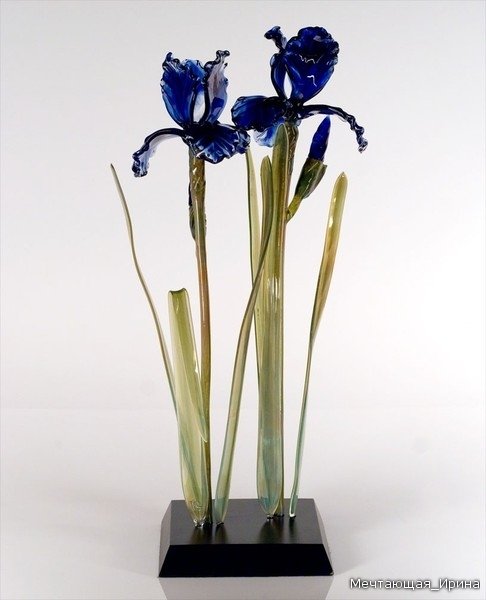 Ирис из стекла Ирис из стекла