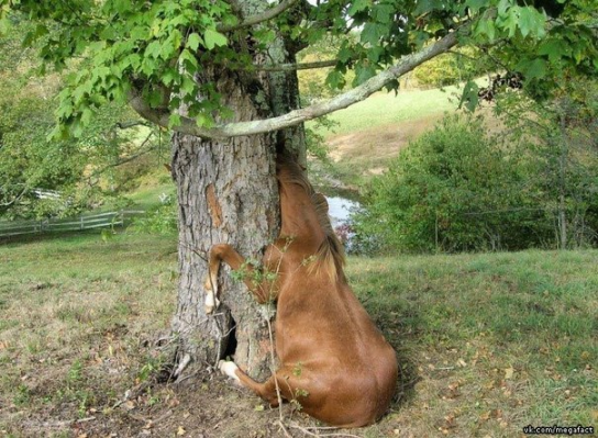 Не вписался в поворот) 