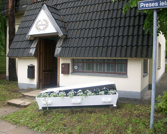 Цветник из гроба