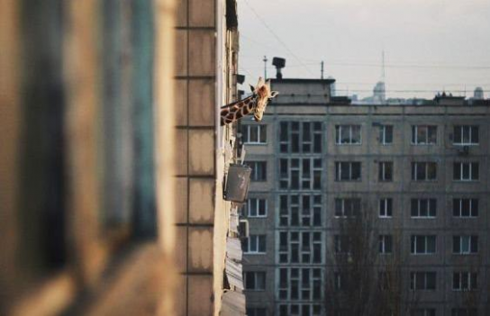 Доброе утро! 