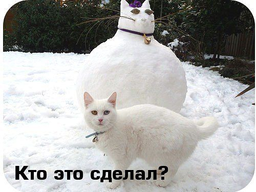 СнегоКот