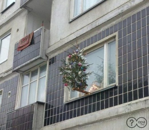 Ёлочка