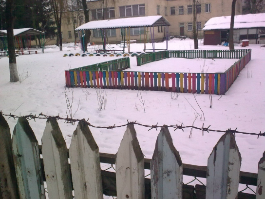 Кто из них вырастит!!!!