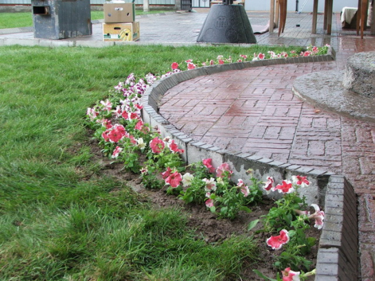 Цветочный бордюр Цветочный бордюр