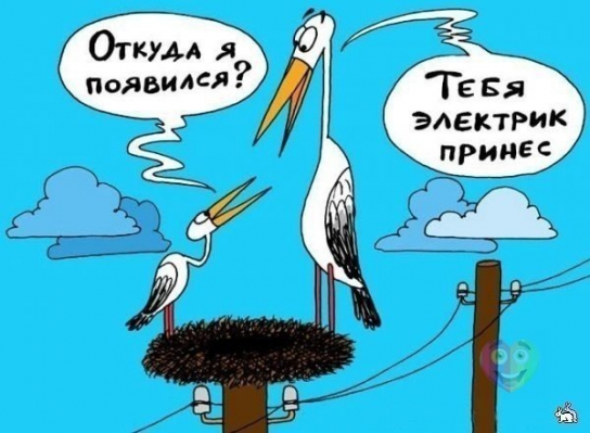 Правдивая легенда про электриков