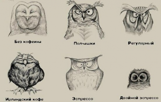 office@nto-r.ru